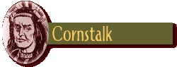 Cornstalk